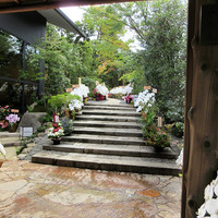 高台寺 十牛庵 - レストランを横目に石段を上がり