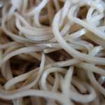 キタワセ・夏新