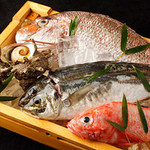 Freshly caught wild fish delivered daily