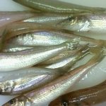 ごはんや幸太郎 - キスの天ぷら