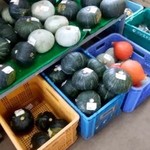 JAオホーツク網走 野菜直売所 - 料理写真:かぼちゃ