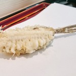 てんぷら 近藤 - 女鯒