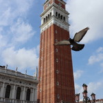 Alle Corone Restaurant - 鐘楼とハト♪