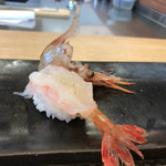 にぎり鮨 一五〇 - 車海老