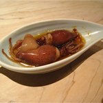 くろぎ - 蛍烏賊