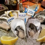 Oyster Bar ジャックポット - 