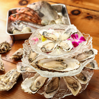 Enjoy the finest Oyster that are carefully selected and delivered directly from the source every day.