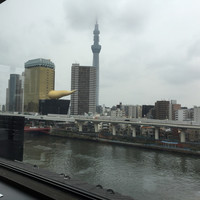 浅草むぎとろ 本店 - 