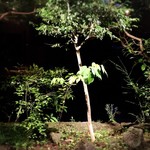 BAR YUMOTO - フロントビューからの景色！