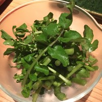 恵比寿 希鳥 - 