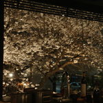 祇園みかく - カウンターから広がる満開の桜