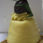 アントルメ菓樹