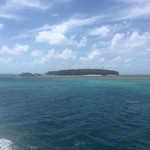 LITE BITES - グリーン島が見えてきました。