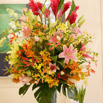 ロイヤルクリスタルカフェ - 