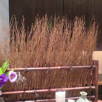 花邑 - 