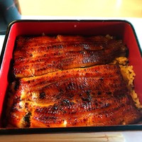 鰻割烹 伊豆栄 本店 - 