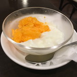 松の樹 - アンマン