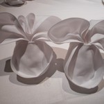 シルクロードガーデン - 2017.8