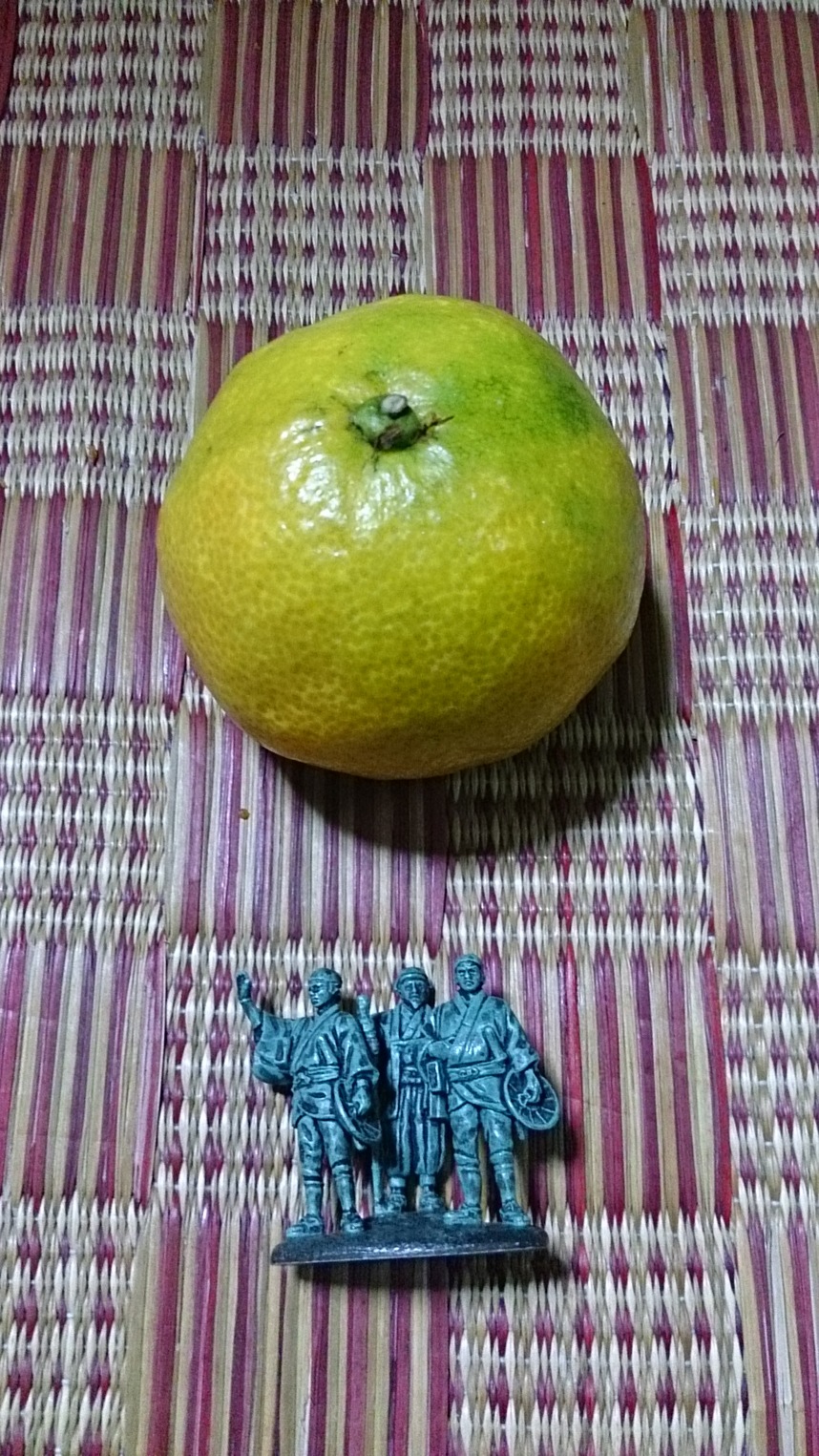 多満留屋商店 name=