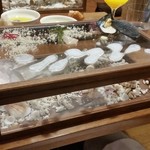 セララバアド - 