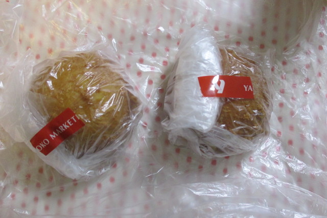 Yaoko Pino Kodaira Kaiden Ten photo 3