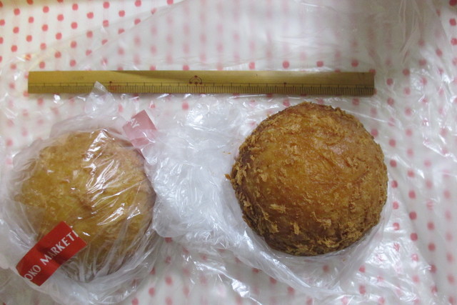 Yaoko Pino Kodaira Kaiden Ten photo 2