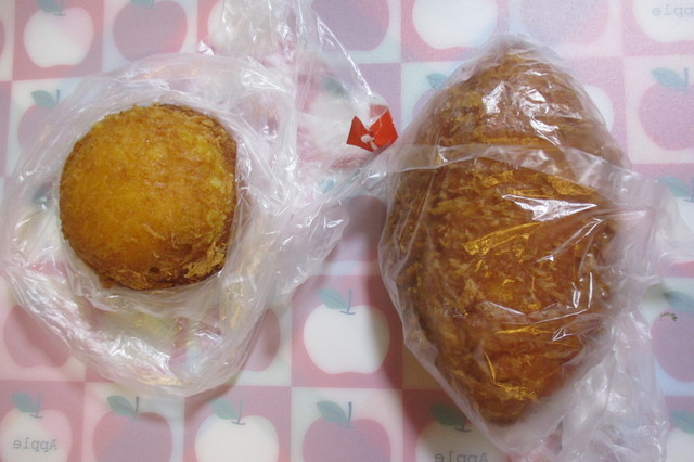 Yaoko Pino Kodaira Kaiden Ten photo 4