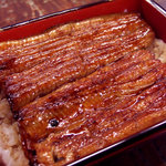 明神下 神田川 本店 - 鰻重小さいほう