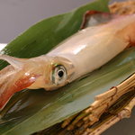 大名やぶれかぶれ - 呼子直送いか活き造り【１０００円】