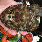 天一 - 草履海老