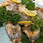 天一 - 天竺太刀魚