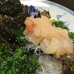 天一 - 伊勢海老を食べる海の王者  鬼海老