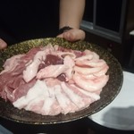 ファイヤーホール4000 - 