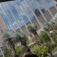 TOOTH TOOTH GARDEN RESTAURANT - 