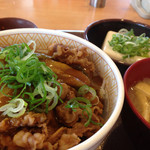 すき家 - 料理写真:カレー南蛮牛丼+健康セット