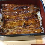 Unagi Tempura Shimizu - 