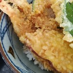 うどん・そば やま信 - 