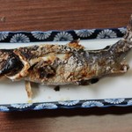 魚末あまごセンター - 料理写真: