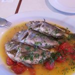 チーロ - 本日の白身魚とフレッシュトマトの煮込み　アクアパッツァ（めばる）