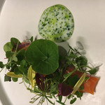 ラチュレ - サーモンのコンフィ　ミルクバターソースで