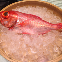 筑紫樓 銀座店 - 