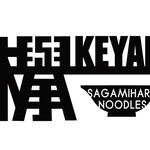 Sagamihara Keyaki - 