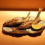 麻布 かどわき - 琵琶湖の子持ち鮎の塩焼き　白うるか と共に