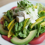 tomato and avocado vegetable salad