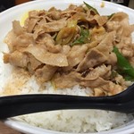 名物すた丼の店 - 横から。肉を増してもご飯の量が多すぎる。