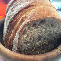 Benoit Alain Ducasse - 