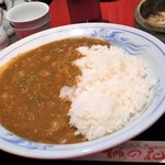 Chinese style beef curry