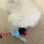 旬美にしかわ - 