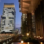 RIGOLETTO　WINE　AND　BAR - グリーンとライトで良い雰囲気です