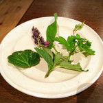 山のごはんよもぎ - （2017年9月）この日の野草の天ぷらのラインナップは…アザミ、スイバ、ゲンノショウコ、カラクサ、ユキノシタ、葛の花♡